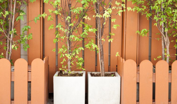 Guide pratique pour sélectionner le brise-vue idéal pour votre muret